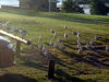 P5140289.JPG